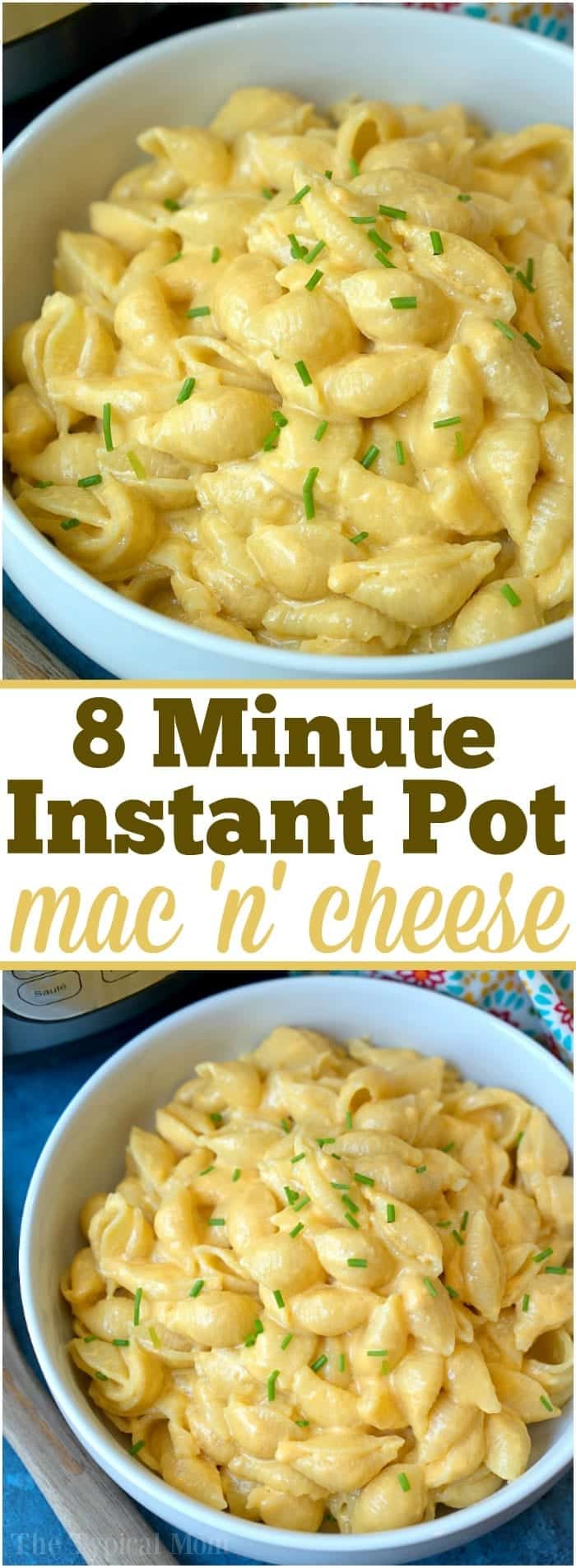 4 Ingredient Instant Pot Macaroni And Cheese Video