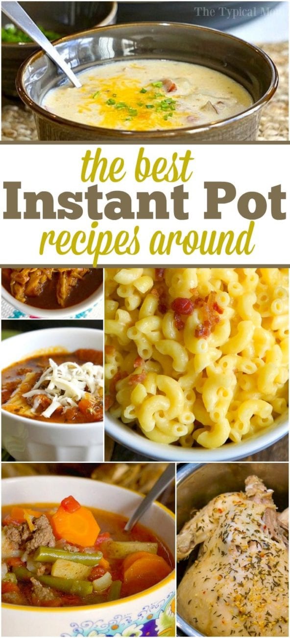 101+ Instant Pot Recipes for Beginners - InstaPot Recipes