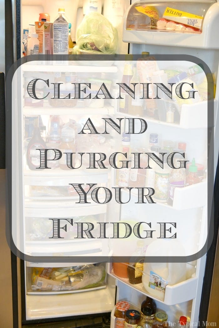 cleaning your refrigerator