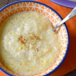 instant pot tapioca pudding recipe