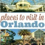 places to visit in Orlando