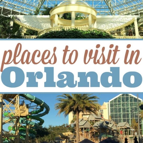 places to stay in orlando