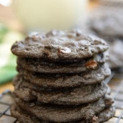 cocoa powder cookies