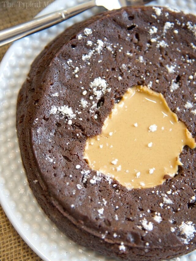 Instant Pot Brownies in a Springform Pan · The Typical Mom