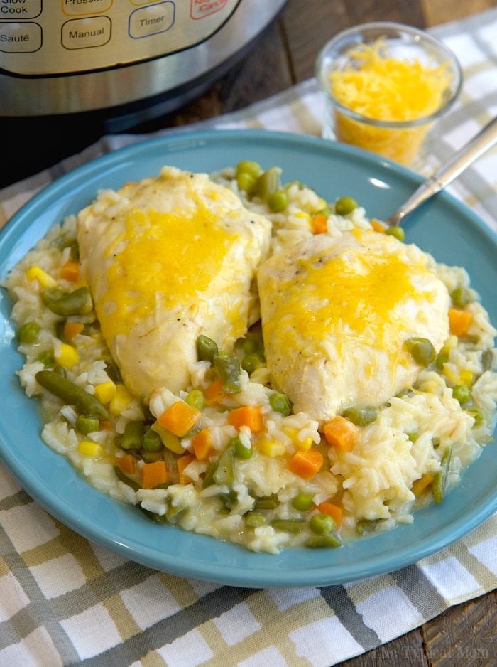 Rice Cooker Chicken Recipes