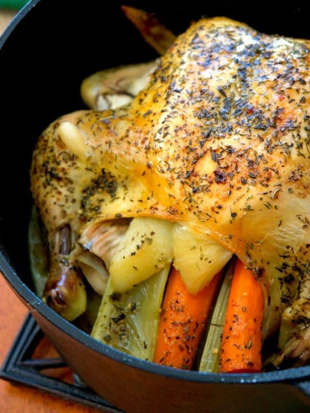Dutch Oven Chicken and Vegetables · The Typical Mom