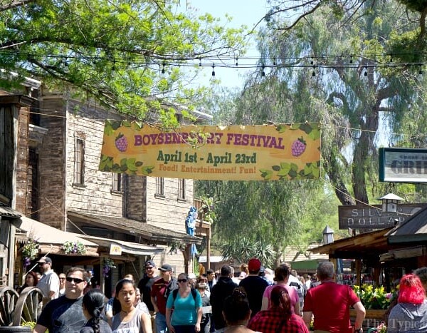 knotts boysenberry festival