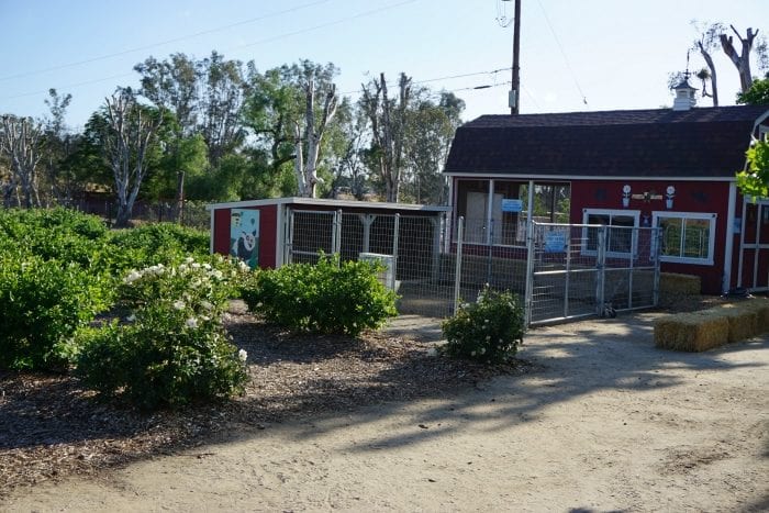 temecula blueberry picking