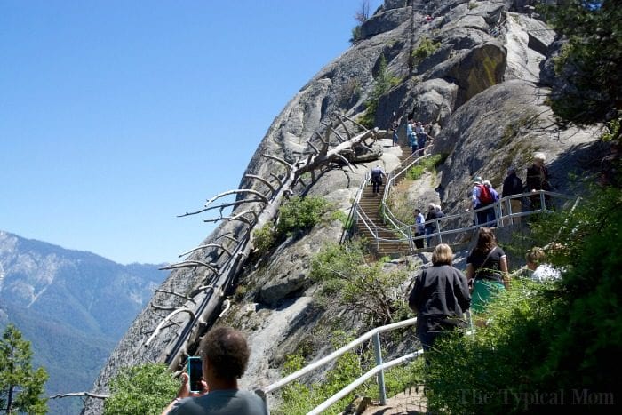 What to see in Sequoia National Park