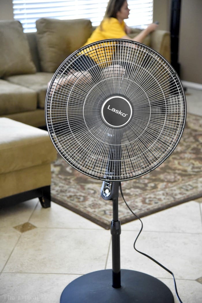 10 Ways to Keep Your House Cool in Extreme Heat this Summer