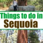 things to do in sequoia