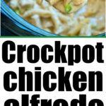 crockpot chicken alfredo