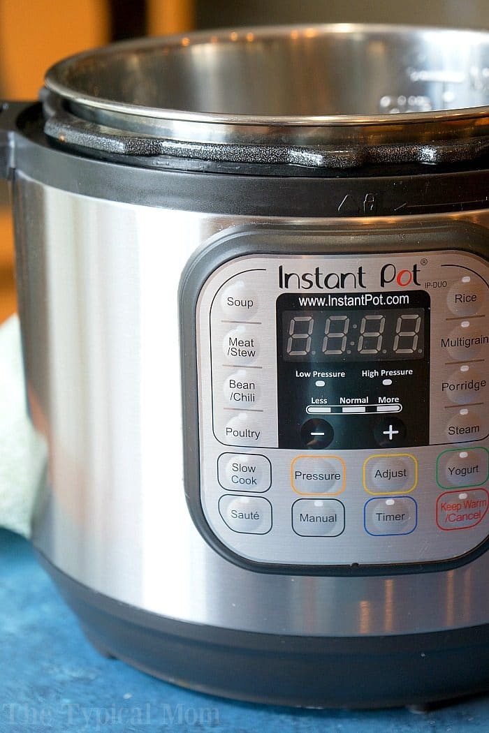 Instant Pot Setup Guide (Step-by-Step Photos & Video)