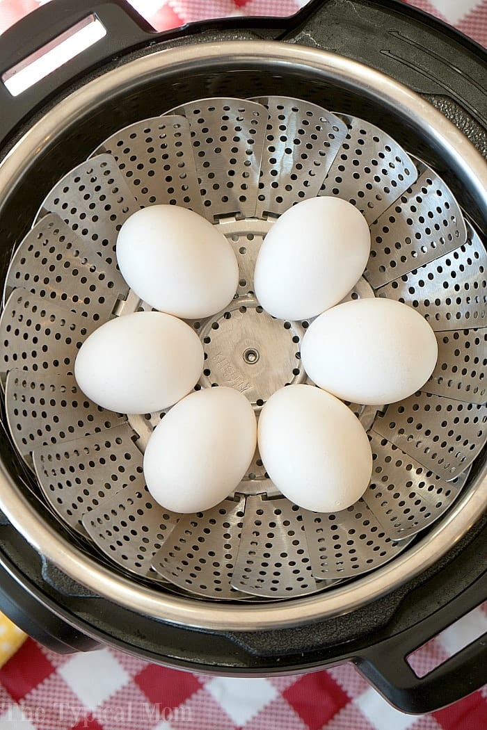 Instant Pot Boiled Eggs Without A Rack - Fast Food Bistro