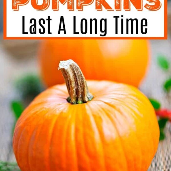 how to preserve pumpkins