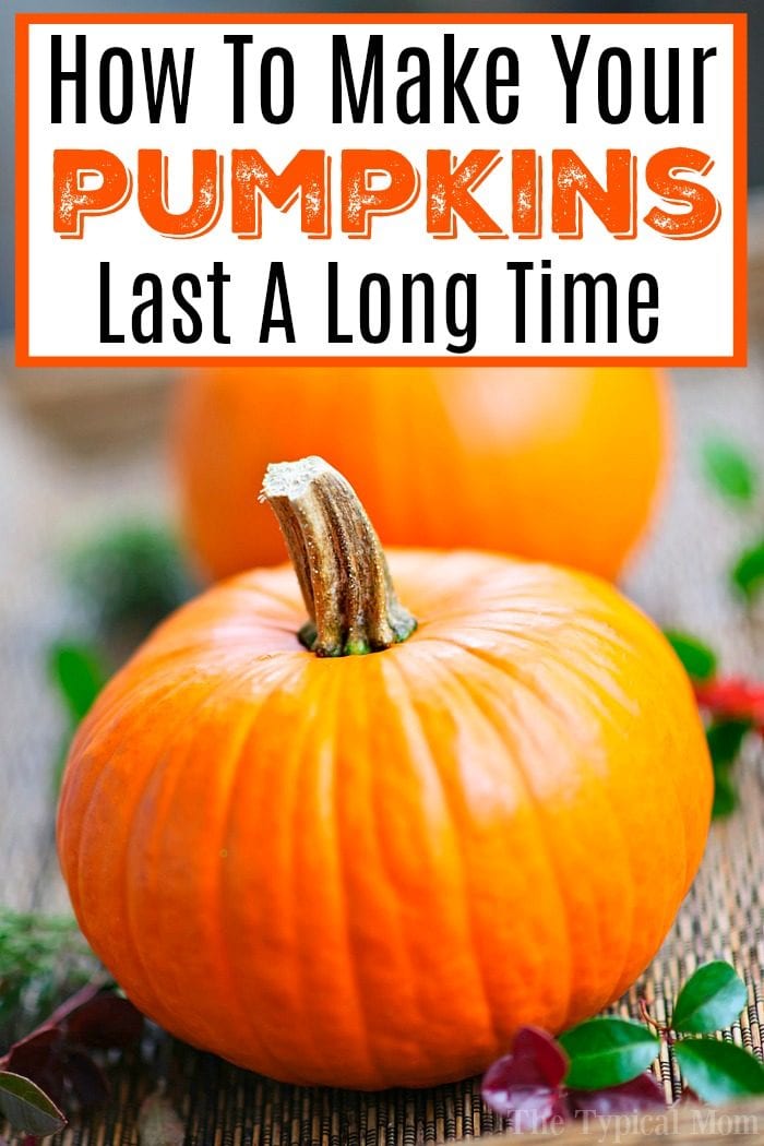 pumpkin carving preservation tips