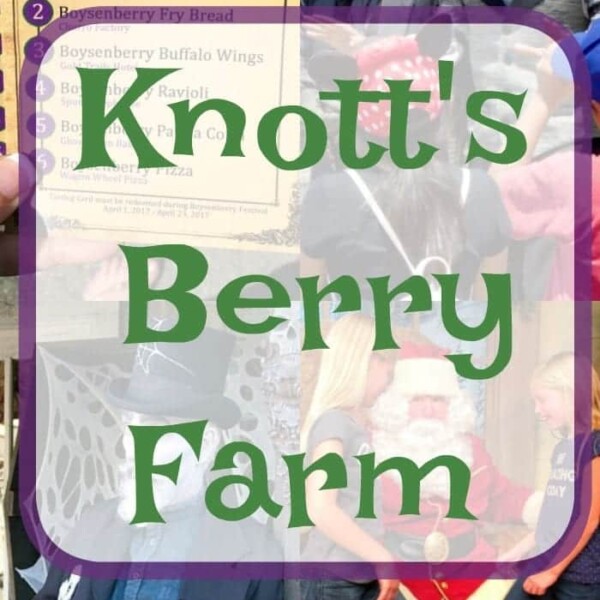 knott's berry farm season passes