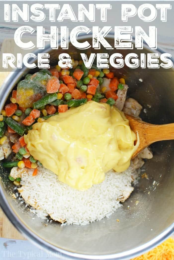 Instant pot discount rice and veggies