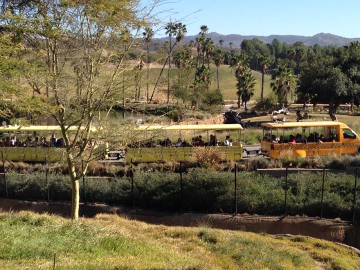 Safaris  San Diego Zoo Safari Park