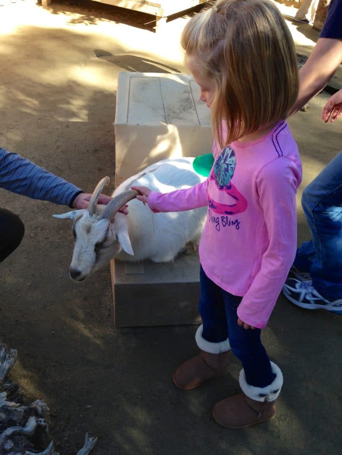 San Diego Wildlife Park