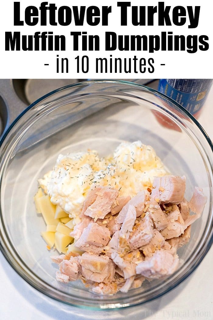 https://temeculablogs.com/wp-content/uploads/2017/12/best-leftover-turkey-recipe-700x1050.jpg