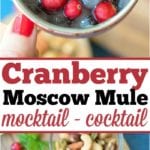 cranberry moscow mule mocktail 3