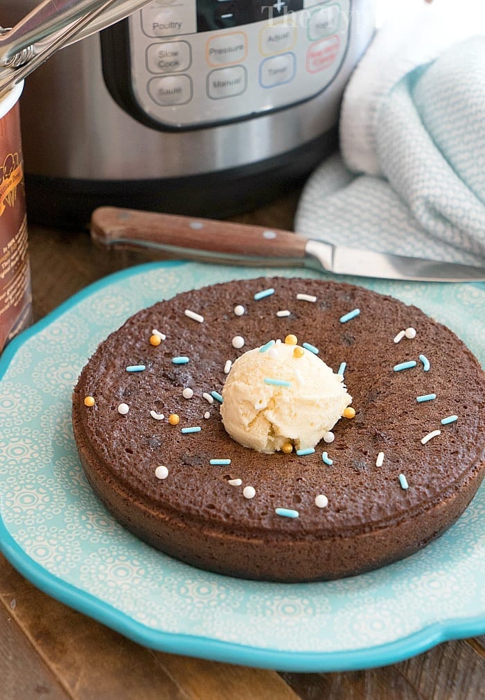 Instant Pot Chocolate Pudding Cake