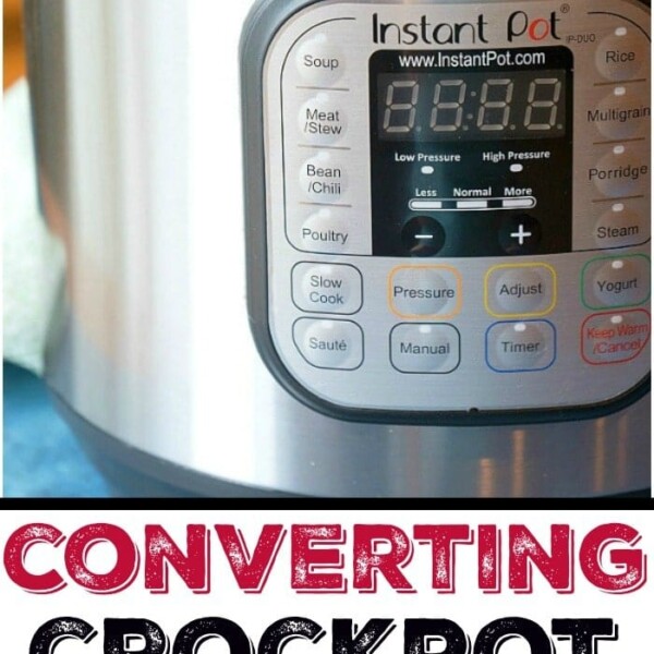 Slow Cooker vs Instant Pot 2