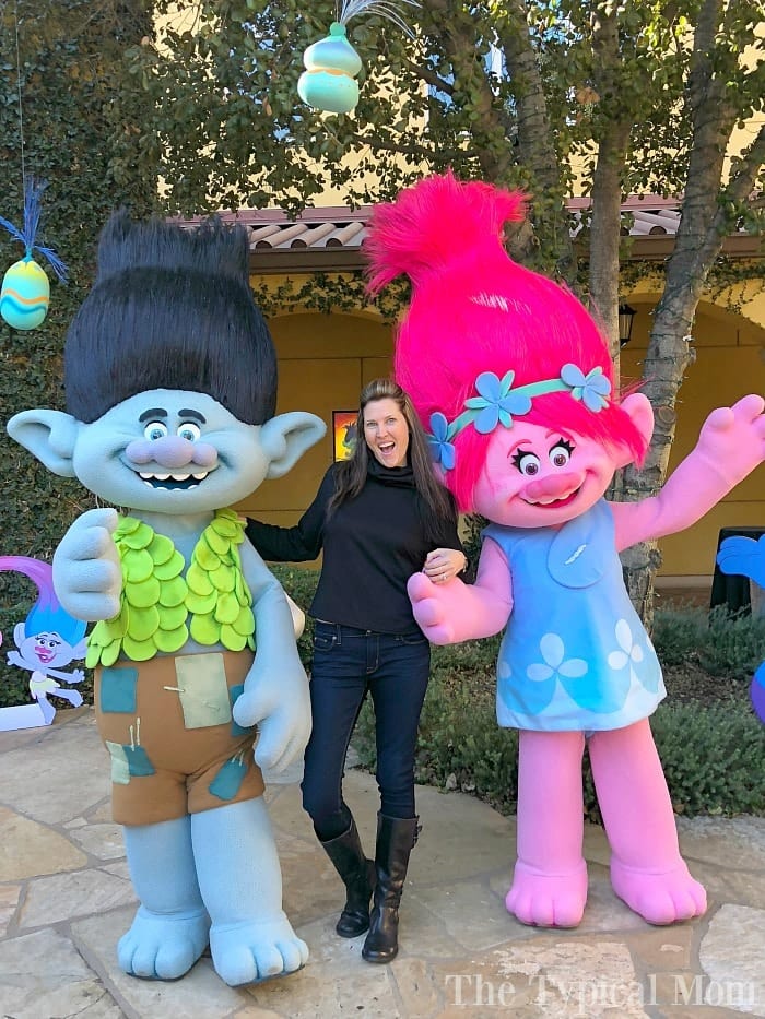 DreamWorks Trolls TV Show · The Typical Mom