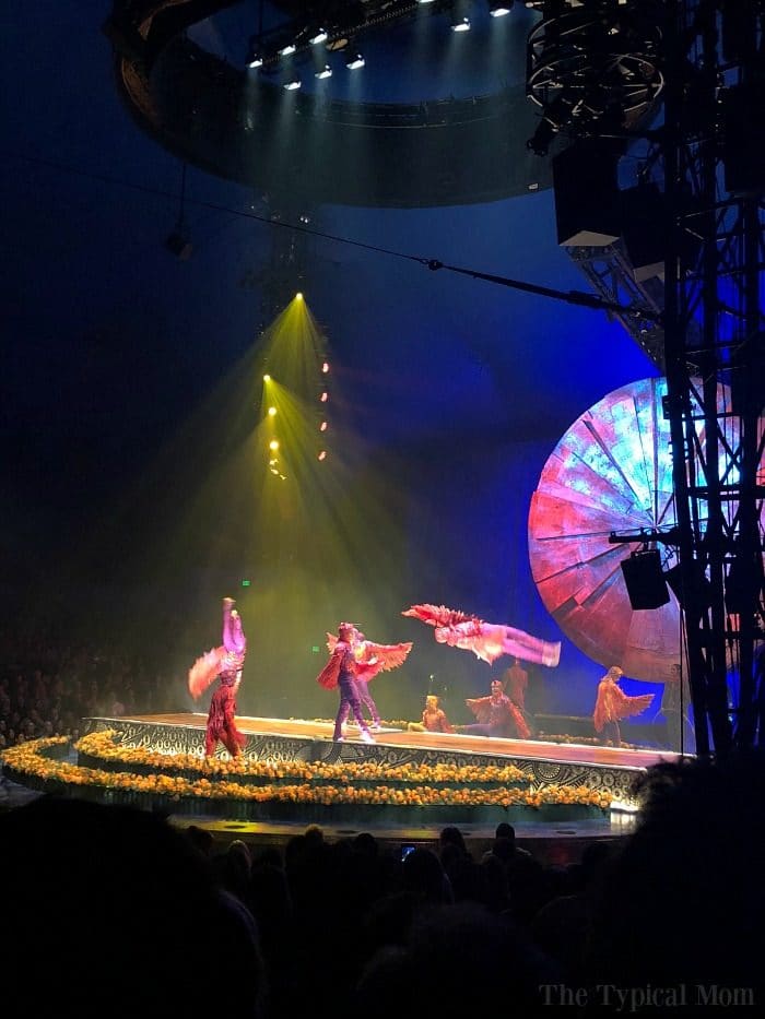 Cirque Du Soleil Luzia Review · The Typical Mom