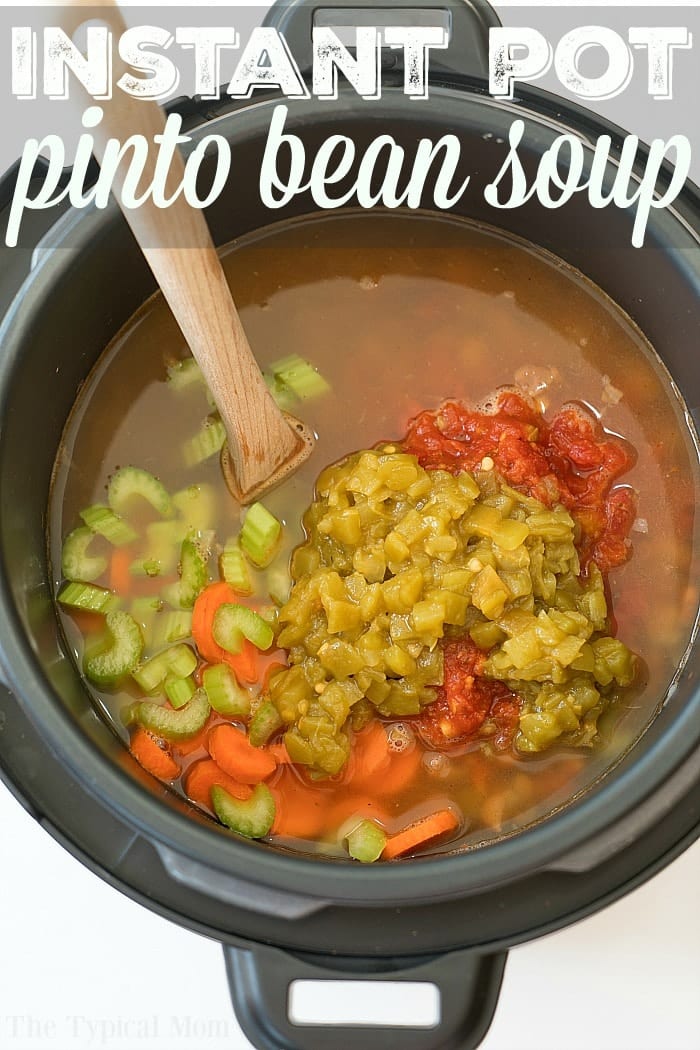 Instant Pot Bean Soup Dry Pinto Beans Ninja Foodi Bean Soup   Instant Pot Pinto Bean Soup 2 