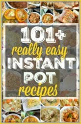 101+ Instant Pot Recipes for Beginners - InstaPot Recipes