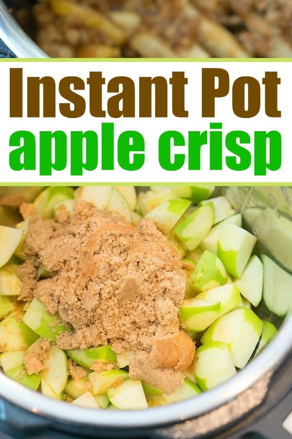 Easy Instant Pot Apple Crisp - Tastes Better from Scratch