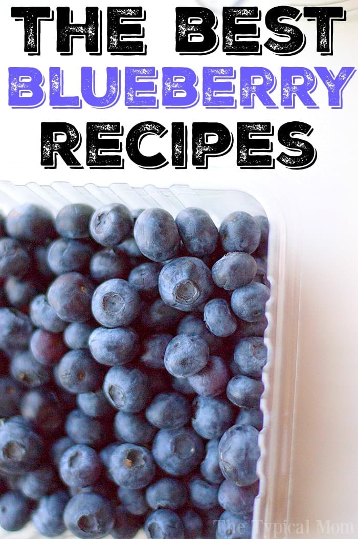 best blueberry recipes