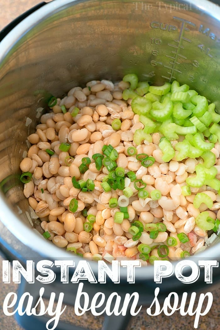 Instant Pot Pressure Cooker Bean Soup with Bacon or Ham