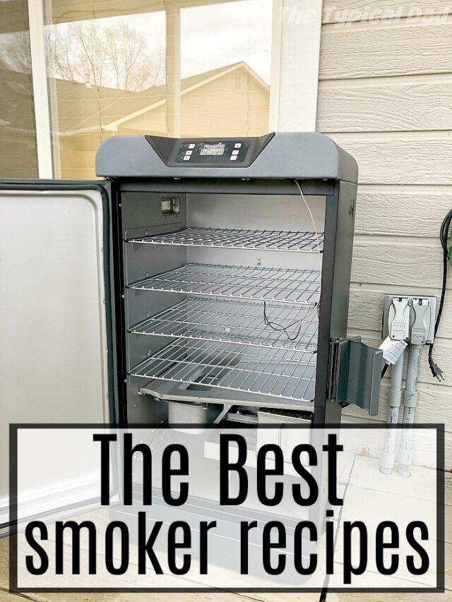 The Best Smoker for Beginners How to Start Smoking Meats