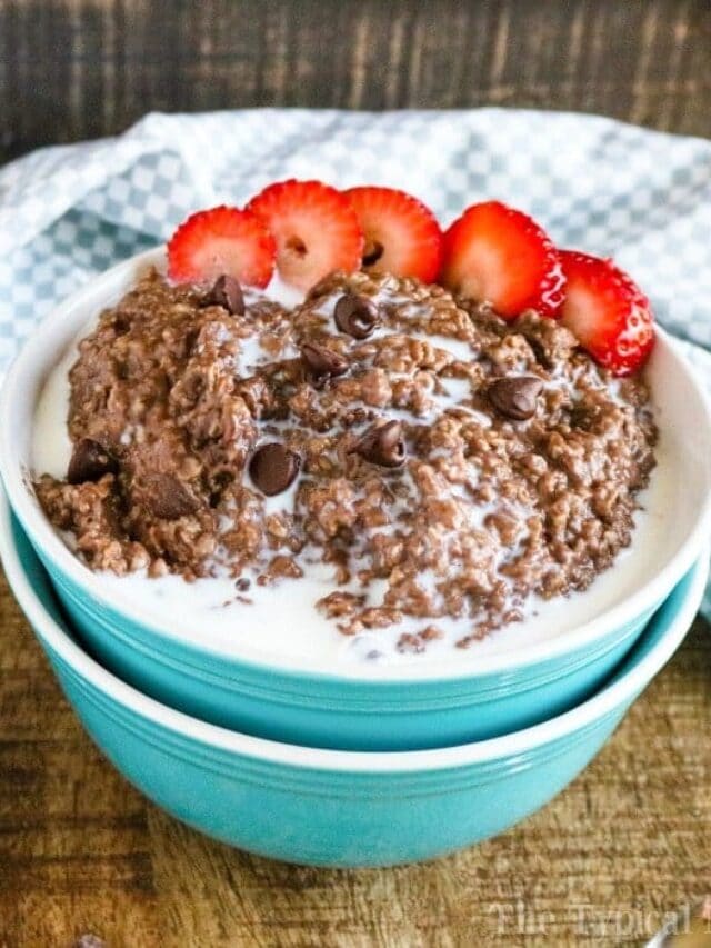Instant Pot Chocolate Oatmeal · The Typical Mom