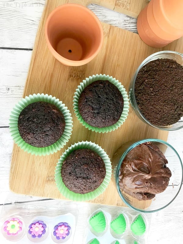 Flower Pot Cupcakes