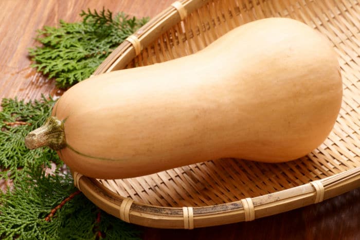 butternut squash