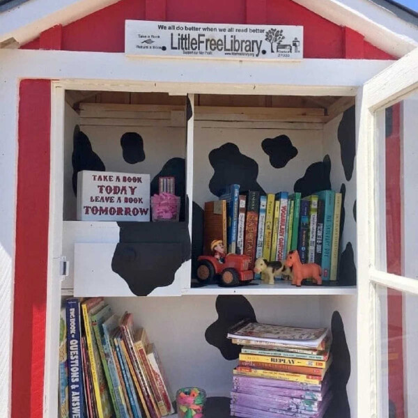 little-free-library