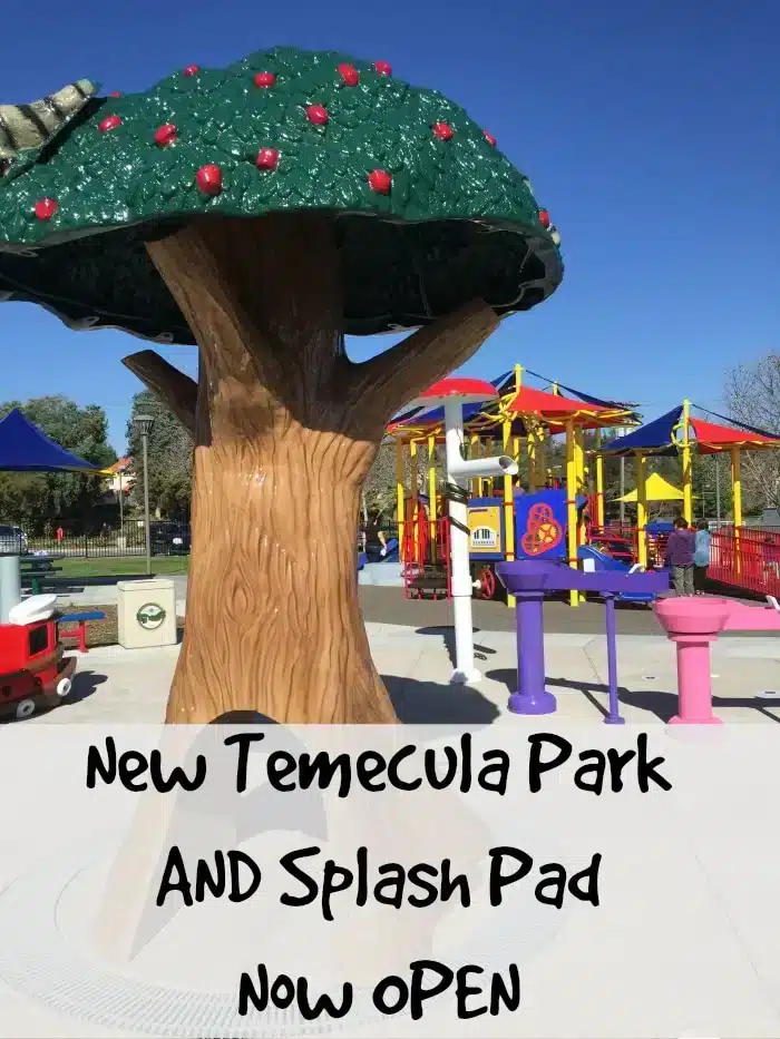 A playground featuring a large tree-shaped play structure is shown. In the background, colorful climbing frames and slides are visible, welcoming children of all abilities. A sign indicates "New Temecula Special Needs Park and Splash Pad Now Open.