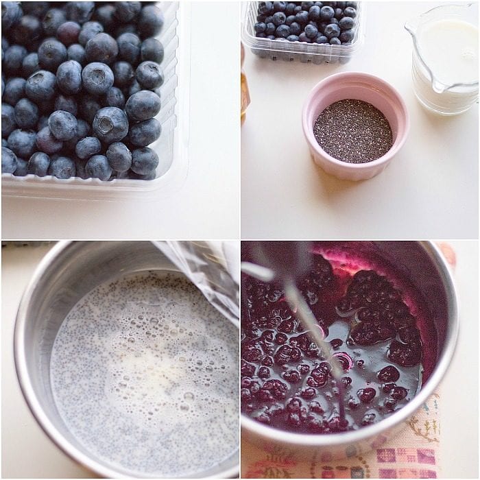 blueberry chia dessert