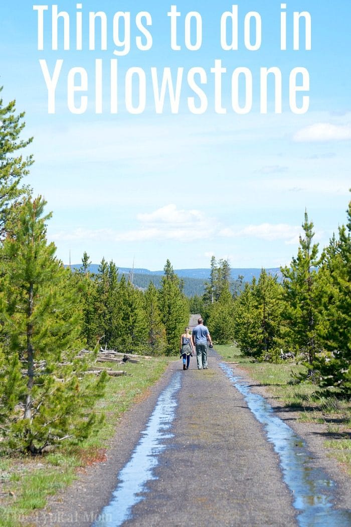 planning a trip to yellowstone