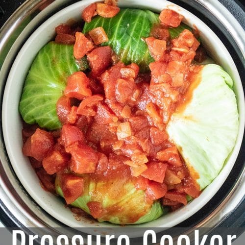 Easy Instant Pot Stuffed Cabbage · The Typical Mom