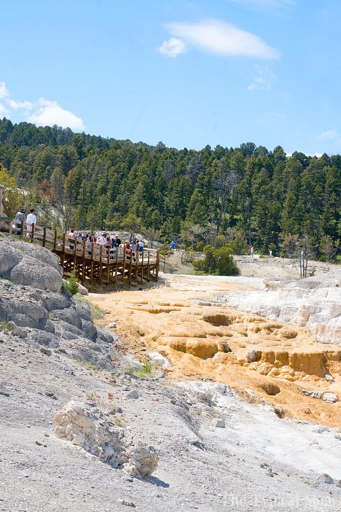 yellowstone hot springs