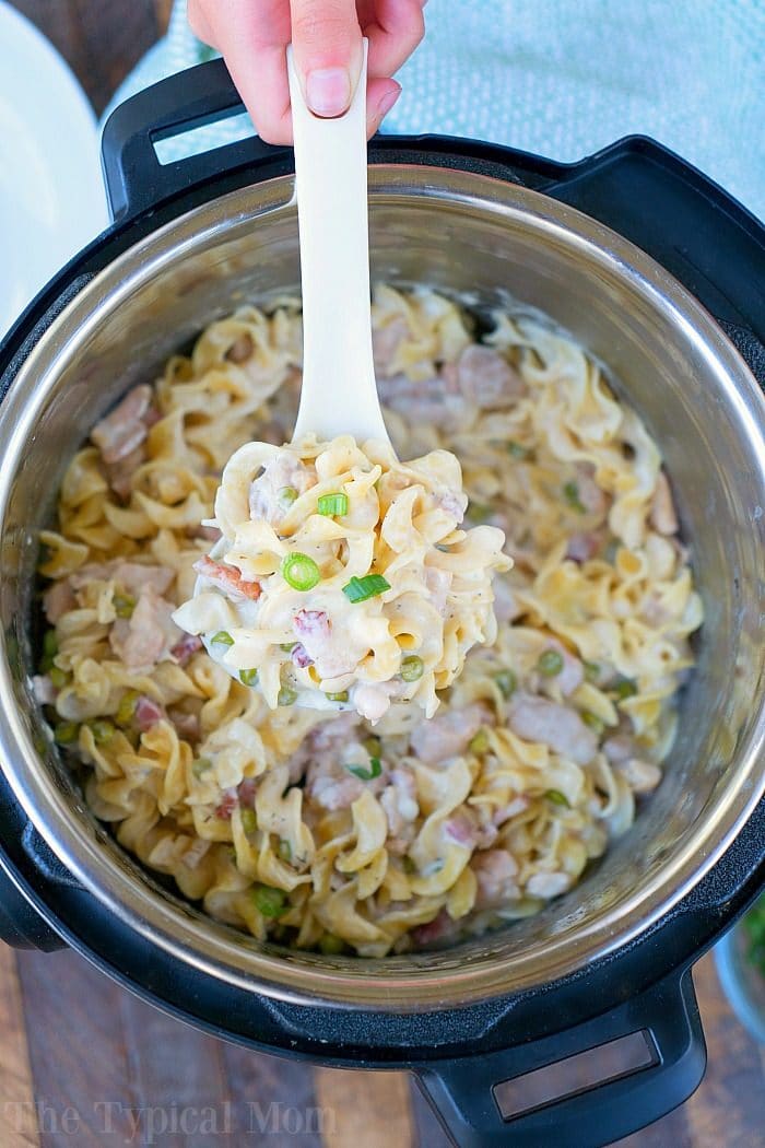 Instant Pot Crack Chicken Casserole · The Typical Mom