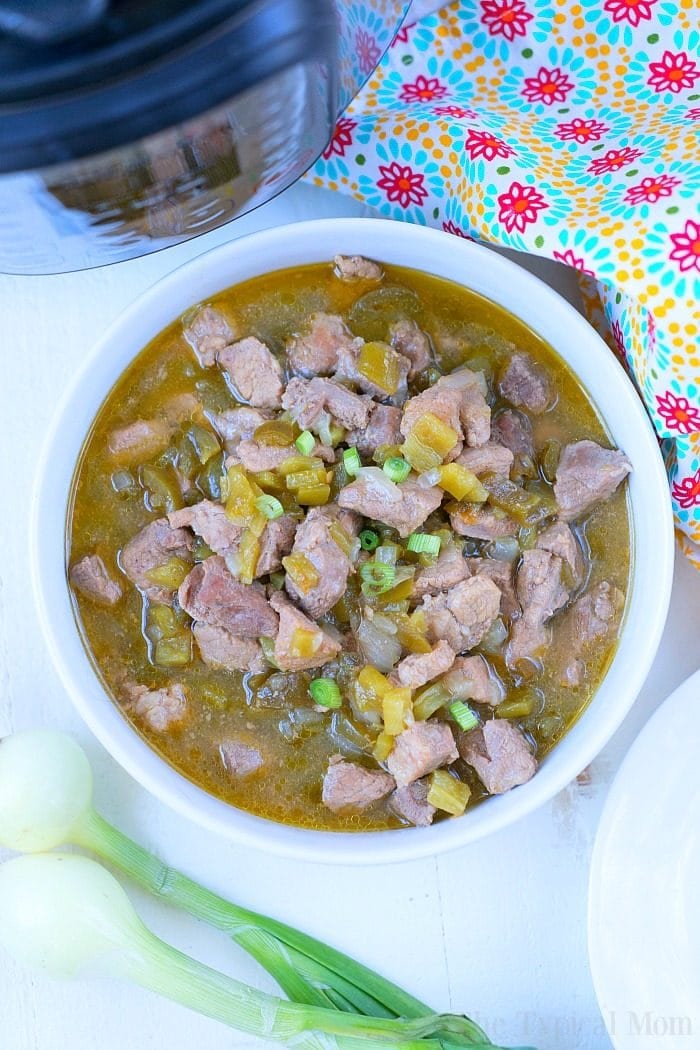 Pressure cooker best sale chile verde