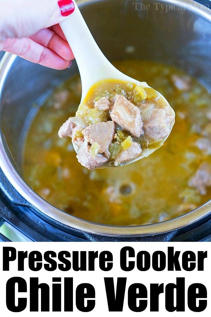 Instant pot best sale pork salsa verde