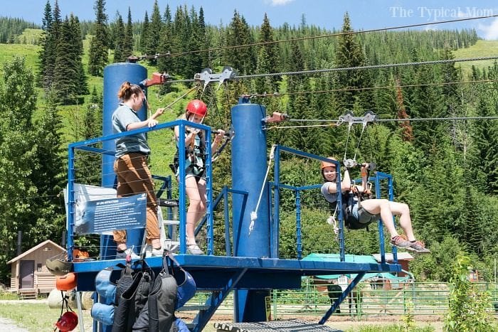 schweitzer mt