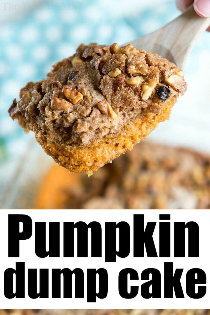 Instant pot discount pumpkin dump cake